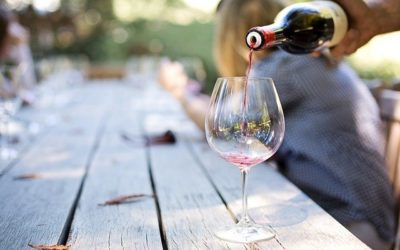 Los Aromas en el Vino: Un Viaje Sensorial a Través de los Sentidos Vinícolas
