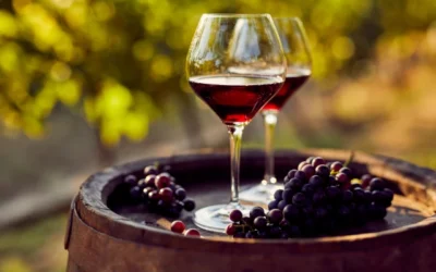 Las sustancias beneficiosas de las propiedades del vino