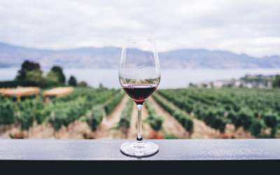 Turismo enológico: rutas y experiencias en Bodegas Ochagavía