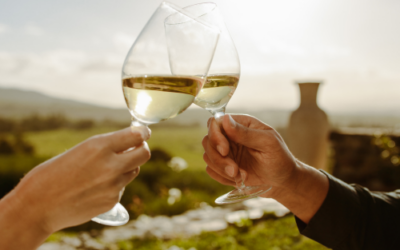 Maridajes con vino Blanco Ochagavía