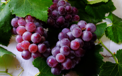 ¿Qué es el polvo blanco en las uvas y por qué es tan importante?