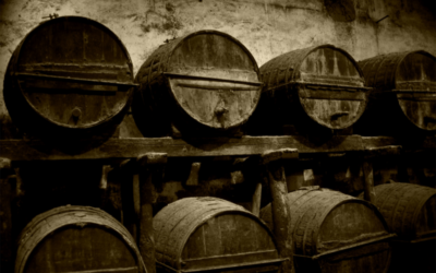 Cinco generaciones de vino: la saga Ochagavía que perdura