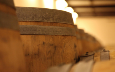 Barricas de roble francés vs americano