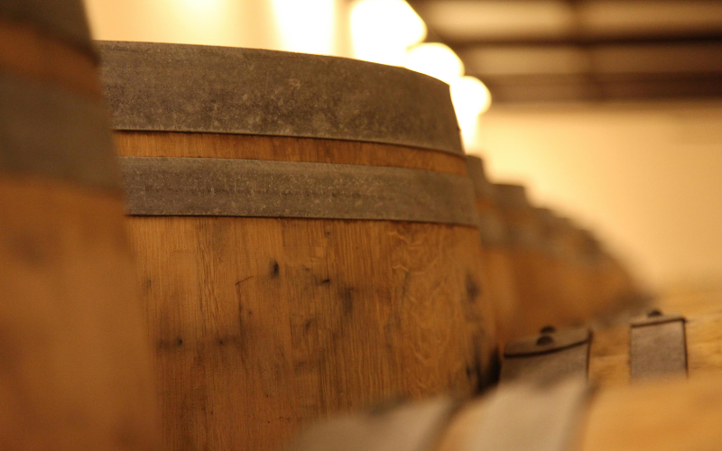 Mujeres Pioneras en la Industria Vinícola